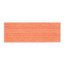 Embroidery Floss 8.7yd 12ct APRICOT BOX12