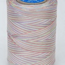 Machine Quilting Multicolor1200yds, Sherbet