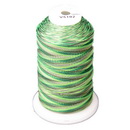 Exquisite Medley Variegated Thread - 102 Forest