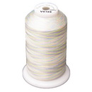 Exquisite Medley Variegated Thread - 104 Pastels