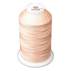 Exquisite Medley Variegated Thread - 109 Desert Canyon