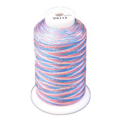 Exquisite Medley Variegated Thread - 113 Carnival